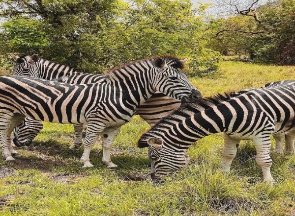 Shai Hills & Akosombo Dam Cruise – One-Day Tour